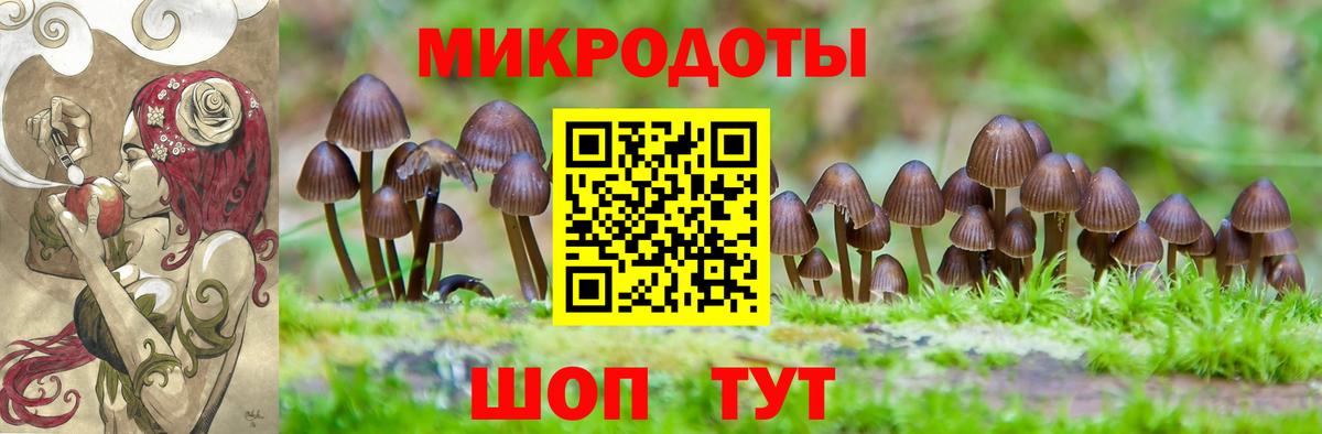 Псилоцибиновые грибы Magic Shrooms Дедовск